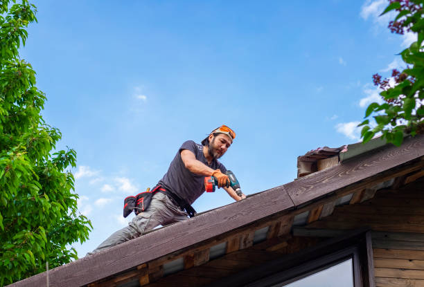 Best Roof Insulation Installation  in Mims, FL